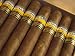 Close-Up of Limited Edition Cigars in a Box, Cohiba, Havana, Cuba, West Indies, Centr...