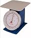 Escali Mercado Dial Scale 11lb with plate