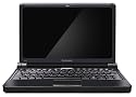 Lenovo IdeaPad S10e 10,1 Zoll WSVGA Netbook (Intel Atom N270 1,6GHz, 1GB RAM, 80GB HDD, Intel GMA 950, XP Home)