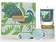 Waikiki Pikake Jasmine Scented Candle, Solid Perfume Aromatherapy Body Lotion Gift Set