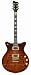 Musical Instruments : First Act Delia - Limited Edition Guitar -Amber