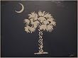 Placemats ~ Palmetto Moon - South Carolina Flag ~ set of 4 corkboard 11.5 x 15 inch placemats ~ code 877