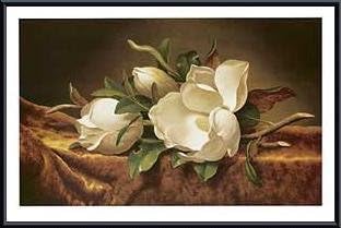 Art Poster Metal Framed Print - Magnolias on Gold Velvet Cloth - Artist: Martin Johnson Heade- Poster Size: 23 X 35