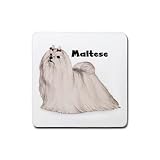 Maltese Rubber Square Coaster (4 pack)