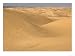 Algodones Dunes, Now Devoid of Vegetation, Near Mexican Border, USA Photographic Post...