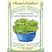 Container Lettuce Seeds Garden Babies Butterhead 1500 Seeds
