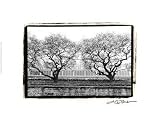 Conservatory II by Laura Denardo. PLAQUE MOUNTED. 14.86 inches width by 9.88 inches height. Highest Quality Art Poster Print