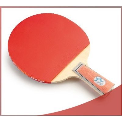 DHS Table Tennis Paddle #X1007, Ping Pong Racquet - Penhold