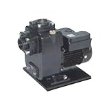 ゼンスイ 自吸式ヒューガルポンプ 50Hz 25PSZ-2021A