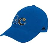 adidas Washington Wizards Blue Basic Logo Flex Fit Slouch Hat