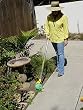 Weed Roller - Roll-on Herbicide Applicator - No-Drift Applicator