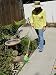 Weed Roller - Roll-on Herbicide Applicator - No-Drift Applicator