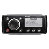 Fusion MS-RA200G AM FM VHF Weather Band Stereo 