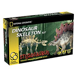 Thames & Kosmos Stegosaurus Skeleton