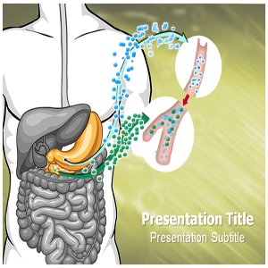 Free Trial Power Point on Powerpoint Template   Diabetes Mellitus Powerpoint  Ppt  Templates