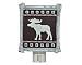 Moose Lodge Night Light