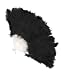 Black Feather Fan