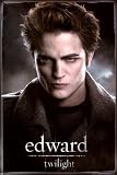 Twilight Entertainment Poster Print, 24x36