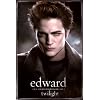 Twilight Poster Print, 24x36