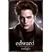 Twilight Poster Print, 24x36