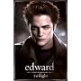 Twilight Poster Print, 24x36