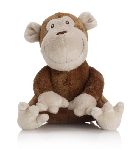 Jungle Monkey