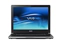 Sony VAIO VGN-AR890U 17-inch Laptop (2.5 GHz Intel Core 2 Duo T9300 Processor, 4 GB RAM, 500 GB Hard Drive, Vista Ultimate) Black