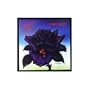Black Rose / A Rock Legend [VINYL]