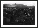 Historic Print (S): Housing conditions Adelaide Mill. The village is run down and greatly in need of sanitar