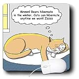 Rich Diesslins Funny General Cartoons - Cat Basks in the Sun and Thinks About Hibernation - Mouse Pads