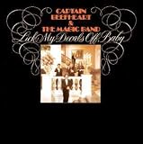 Lick My Decals Off, Baby [VINYL] [Limited Edition]