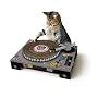 Cat DJ Scratching Deck (by Suck UK) by Cat Scratch