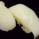 無添加 お刺身ヤリイカ 解凍するだけで食べられる 訳あり わけあり 激安 業務用 お刺身ヤリイカ