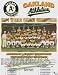 Oakland Athletics 1974 World Series Champions 13x16 Plaque