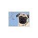 pug46  - Pug Browntan color Boxed 8 Notecards with Envelopes