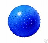 Sunny Health and Fitness Massage Ball With Pump (55 cm)