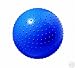 Sunny Health and Fitness Massage Ball With Pump (55 cm)