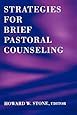 Strategies for Brief Pastoral Counseling (Creative Pastoral Care and Counseling)