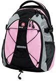 Swiss Gear Altenberg Day Pack