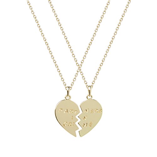Lux Accessories Partners in Crime Valentine Heart Heart Pendant Necklaces. (2 PC)