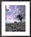 Excavations of the Ancient Biblical City of Megiddo, Megido Framed Art Poster Print by Richard Nowitz, 18x22