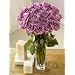Quality organically grown flowers and bouquets.