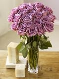 Two Dozen Lavender Roses