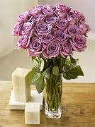 Floral Two Dozen Lavender Roses
