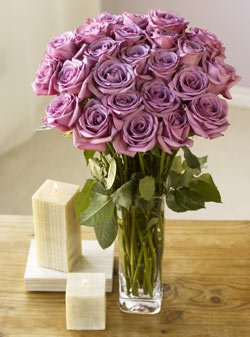 Two Dozen Lavender Roses