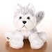 Webkinz Husky