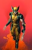  : Wolverine Weapon X Files