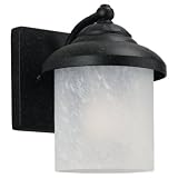 Sea Gull Lighting 84048-185 Single-Light Yorktown Wall Lantern with Swirled Marbleized Glass, Forged Iron