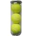 Dunlop Practice X Out Tennis Balls (Can)