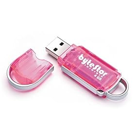 ByteStor 4GB USB  High Speed "Dataferry" Pink Flash Drive